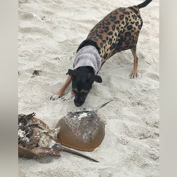 Meet your Posher, Laura - Picture 10 of 13